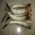 Import RAW COW HORN from Nigeria
