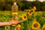High Quality Sunflower Oil