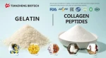 Gelatin and collagen peptide