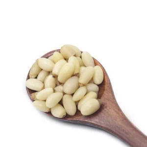 Top Quality Pine Nuts Kernels Good Taste Pine Nuts Wholesale / Top Grade Pine Nuts Available for Export