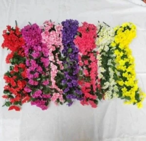 Violet Flowers