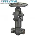 Forged Steel Globe Valve