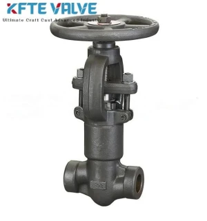 Forged Steel Globe Valve