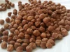 Natural Gram /Desi Chana/ chickpeas bengal gram wholesale price