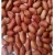 Import A Grade Organic Peanut Kernels from India