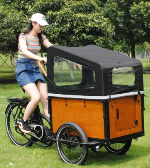 EU warehouse Aluminum Cargo Bike Electric Cargo Tricycle Bicycle With Three Wheels Pedal Assist Dutch Bike For kids