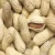 A Grade Organic Peanut Kernels