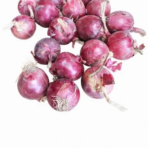 Red onion fresh organic onions