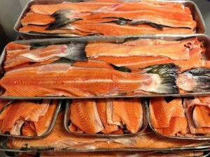 Frozen Salmon Fin For Sale / Frozen Salmon Bellies