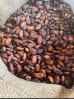 Cameroon Cocoa