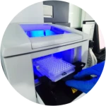 Antimicrobial Peptide Screening Service