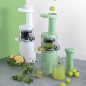 Juicer multifunctional automatic fruit and vegetable frying machine