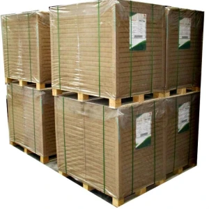 60 gsm White Woodfree Uncoated Offset Printing Bond Paper supply