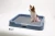 Import H Trading CO., LTD INDOOR DOG POTTY TRAY_T2, T3 from South Korea