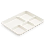 Bagasse 5 Compartment Tray