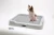 Import H Trading CO., LTD INDOOR DOG POTTY TRAY_T2, T3 from South Korea