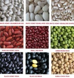kidney Bean