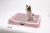 Import H Trading CO., LTD INDOOR DOG POTTY TRAY_T2, T3 from South Korea