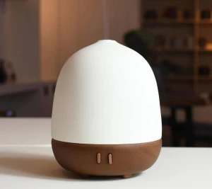Egg Shaped Plastic Aroma Diffuser with Wooden Base
