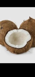 Coconut