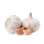 Import Garlic Chinese wholesale garlic 2021 Fresh New Crop Garlic in bulk for import/export in low price from United Kingdom