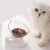Adjustable pet Feeding cat bowl for neck protector pet cat bowl single bowl Cat Water Bowl For Cats Food Feeder