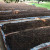 Import Organic Vermicompost from India
