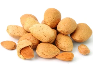 Wholesale Almond Supplier – Custom Grades & Global Shipping