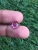 Import Pink Sapphire from Sri Lanka