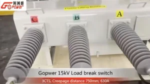 15KV SF6 Gas Load Break Switch1