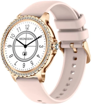 HS-66 Blood Monitoring Smart Watch
