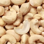 Top Quality W320, W240 Cashew Nuts in Reasonable Price