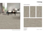 Porcelain Floor Tiles