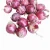 Import Red onion fresh organic onions from United Kingdom