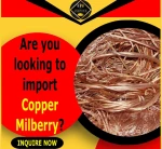 Copper Milberry Wire Scrap