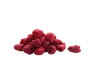 Freeze-Dried Raspberry