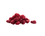 Freeze-Dried Raspberry