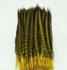 zebra pheasant feather