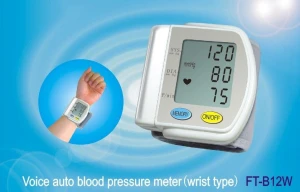oice Blood Pressure Monitor (Wrist Type) FT-B12W