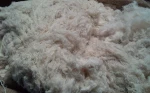 Cotton Yarn Waste