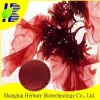 100% Best Quality Palmaria Palmata Extract, natural powder of dulse seaweed