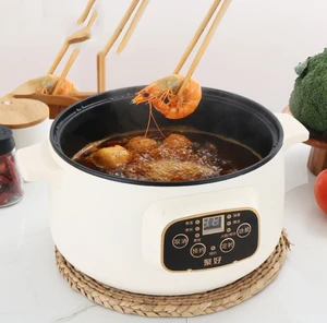 110V/220V Multifunction Rice Cooker Electric Skillet Noodle Cooking Pot Egg Omelette Frying Pan Mini Hotpot Food Steamer