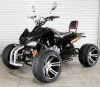 125Km/h China 4 Wheel Quad Bike Motorcycle 250cc ATV with CE for Adults