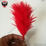 18 Inch Long Red chicken feather Military Officer Plume hackle Balmoral Feather