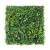 Import 1m by 1m  Wholesale UV Boxwood Green Hedge Grass Wall Panels Grass Wall Artificial Plants for Garden ornaments Decor from China