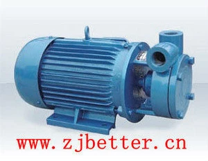 1W -Ttype vortex pump/vortex water pump/solar water pump