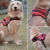 Import 2018 Popular Pet supplies China factory Soft Leash Padded No Pull Dog Harness from China