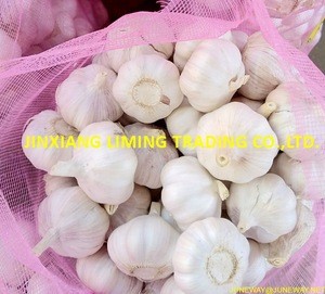 2019 purple fresh garlic/alho/Ail/ajo