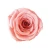 Import 2020 high quality sweet 100% material preserved rose head for wedding bouquet from China