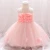 Import 2020 Newborn Baby Little Girls Flower Dresses Kids Ball Gown Wears L1920XZ from China